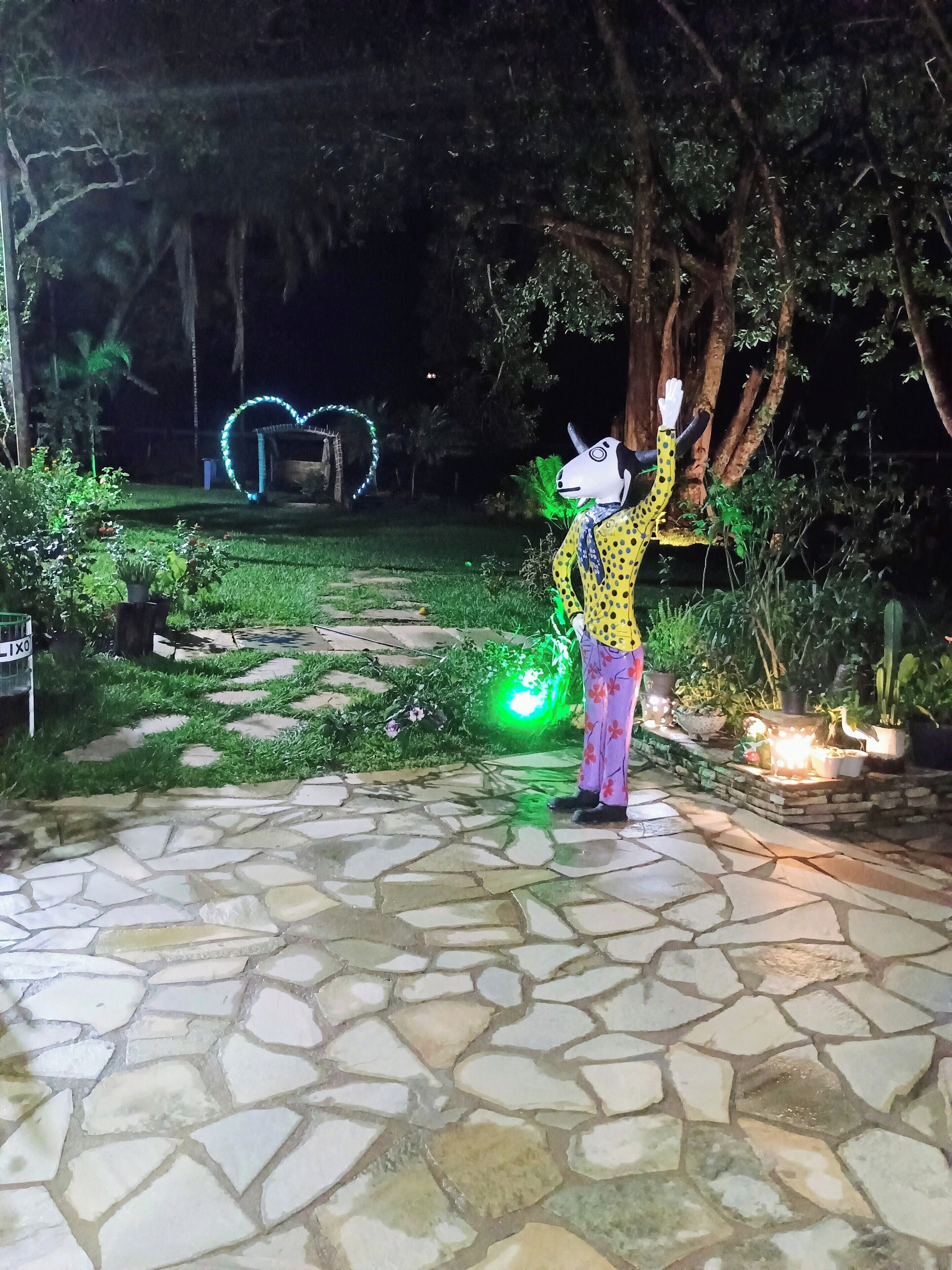 Een pad van stenen leidt naar een tuin met potplanten en een lichtdecoratie in de vorm van een hart.