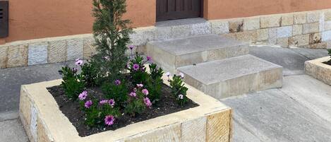 Détail de l’extérieur