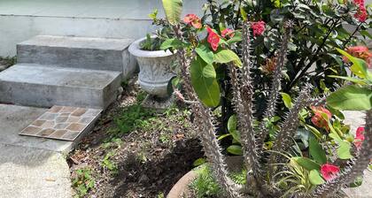 Cozy apartment in lovely Olveston with AC, WiFi. Close to Salem and Old town.