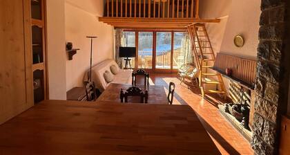 06CN : appartement 6 à 10 personnes avec terrasse