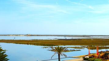 Paisagem costeira com mar calmo, praia arenosa e uma pequena palmeira.