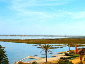 A coastal landscape with a calm sea, a sandy beach, and a small palm tree. - Fuseta Formosa Village (Olhao)