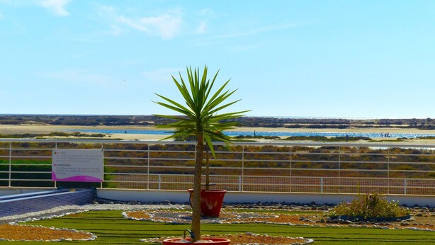 A rooftop terrace with a palm tree, a sign, and a view of a beach. - Fuseta Formosa Village (Olhao)