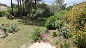 A garden with various plants and trees, a stone bench, and a building in the background.