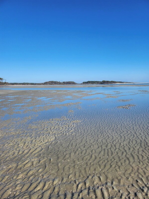 Beach - New Fall Rates @79.00, Cozy 2-bedroom condo, Lake View in NMB, Cherry Grove. (North Myrtle Beach)