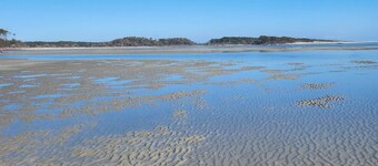 New Fall Rates @79.00,  Cozy 2-bedroom condo, Lake View in NMB, Cherry Grove.