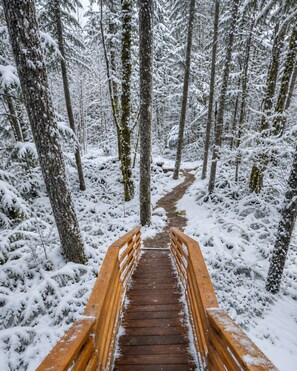 A wooden pathway leading through a snowy forest.
