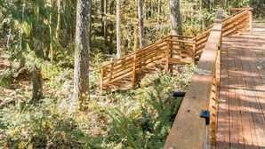A wooden boardwalk through a dense forest with tall trees and ferns. - Relaxing River Lodge • Hot Tub • Family Friendly (Rhododendron)