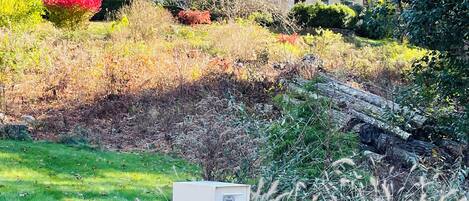 Àrea exterior de l'allotjament