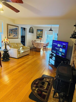 Smart TV, fireplace, books