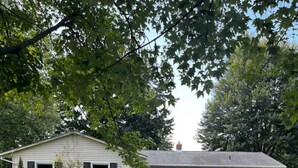 Une maison de plain-pied avec un jardin devant et un petit arbre.