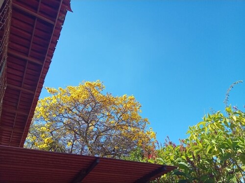 Bed and breakfast in a single suite 