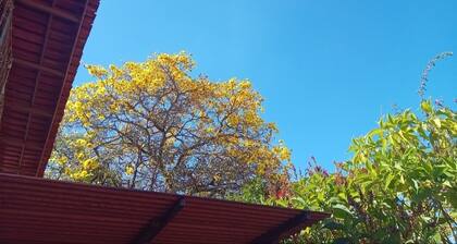 Bed and breakfast in a single suite