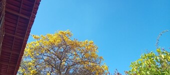 Bed and breakfast in a single suite