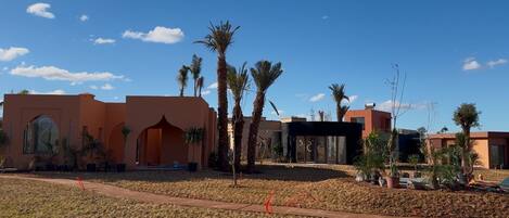 A modern building with a flat roof, large windows, and a paved area with palm trees.