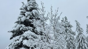 Una escultura cubierta de nieve en un parque, con árboles al fondo.