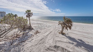 Una spiaggia sabbiosa con impronte e palme, che si estende verso l'oceano.
