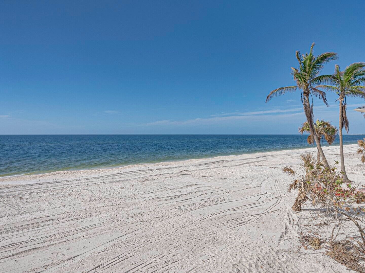 Une plage de sable blanc bordée de palmiers.