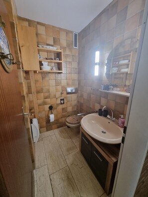 Een douche, een haardroger, zeep, toiletpapier