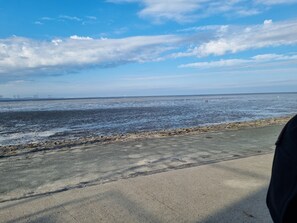 Beach nearby - Vacation apartment Seestern23 (Butjadingen)