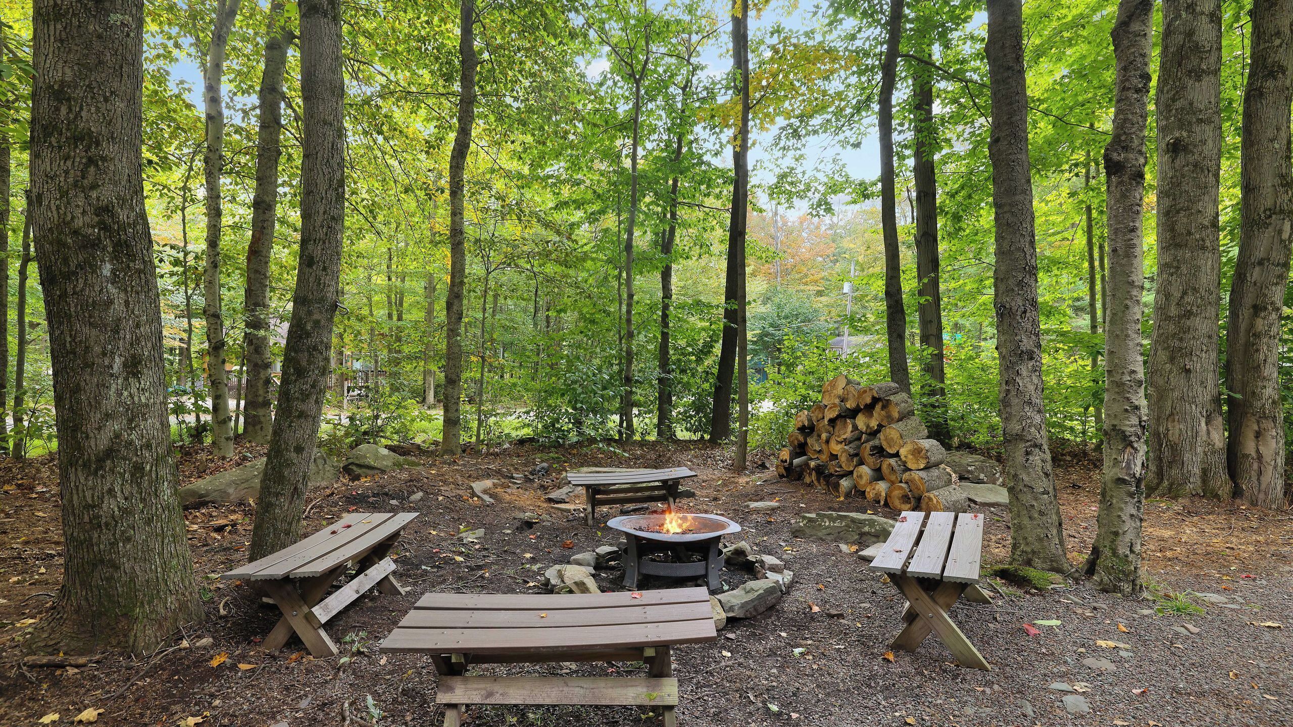 Un camping en el bosque con mesas de picnic, una fogata y una pila de leña.