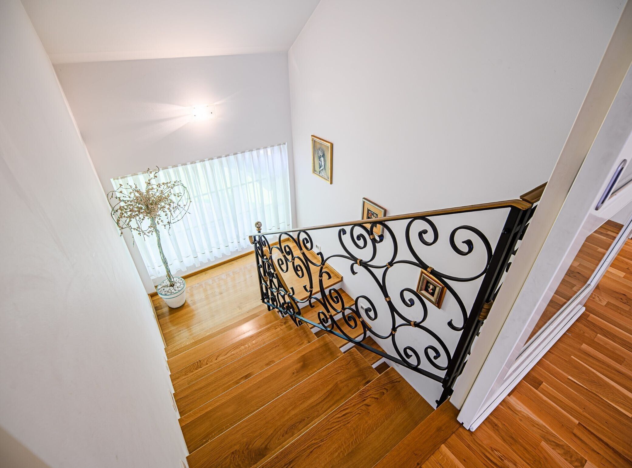 Un escalier en bois avec une rampe en fer forgé noir, des murs blancs et une plante en pot près de la fenêtre.