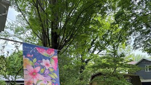 Un jardin avec un mur en pierre, un abreuvoir pour oiseaux et une structure en bois.