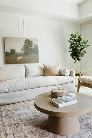 TV connectée, cheminée, livres