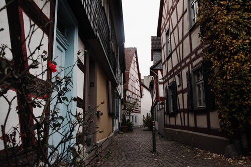 Stillvoll, gemütlich & perfekt angebunden - Feeling at home Frankfurt Höchst

