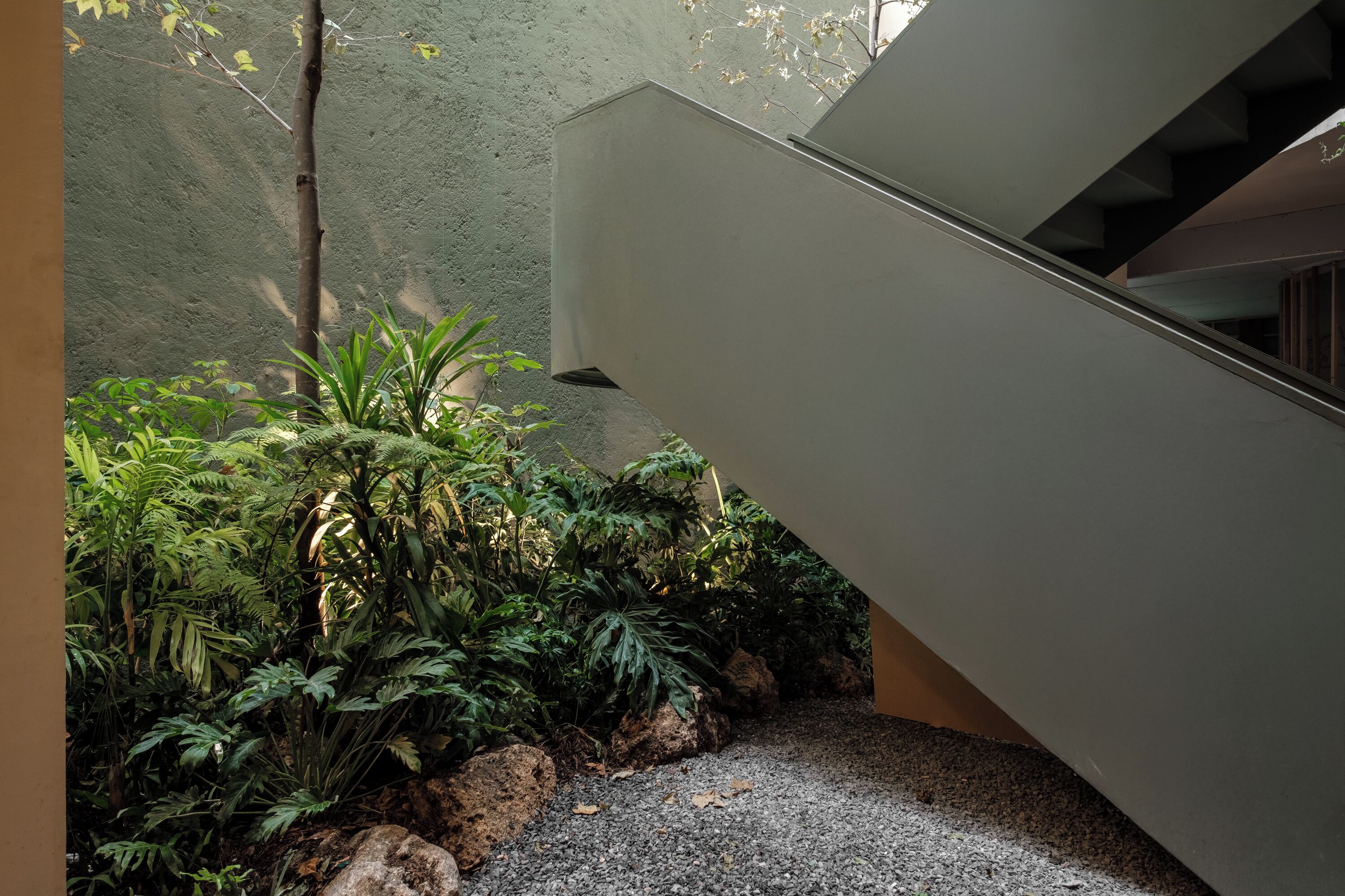 Una escalera moderna con pared de concreto y un jardín exuberante con plantas y rocas diversas.