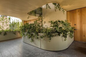 Interior - ONTO Alvaro Obregon Mexico City (Mexico City)