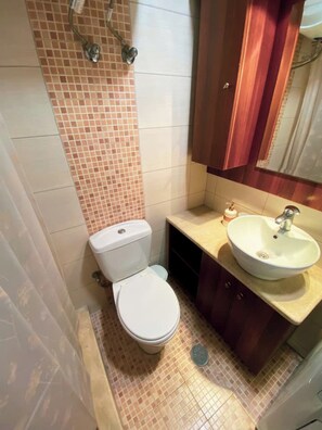 Ducha, secador de pelo, shampoo