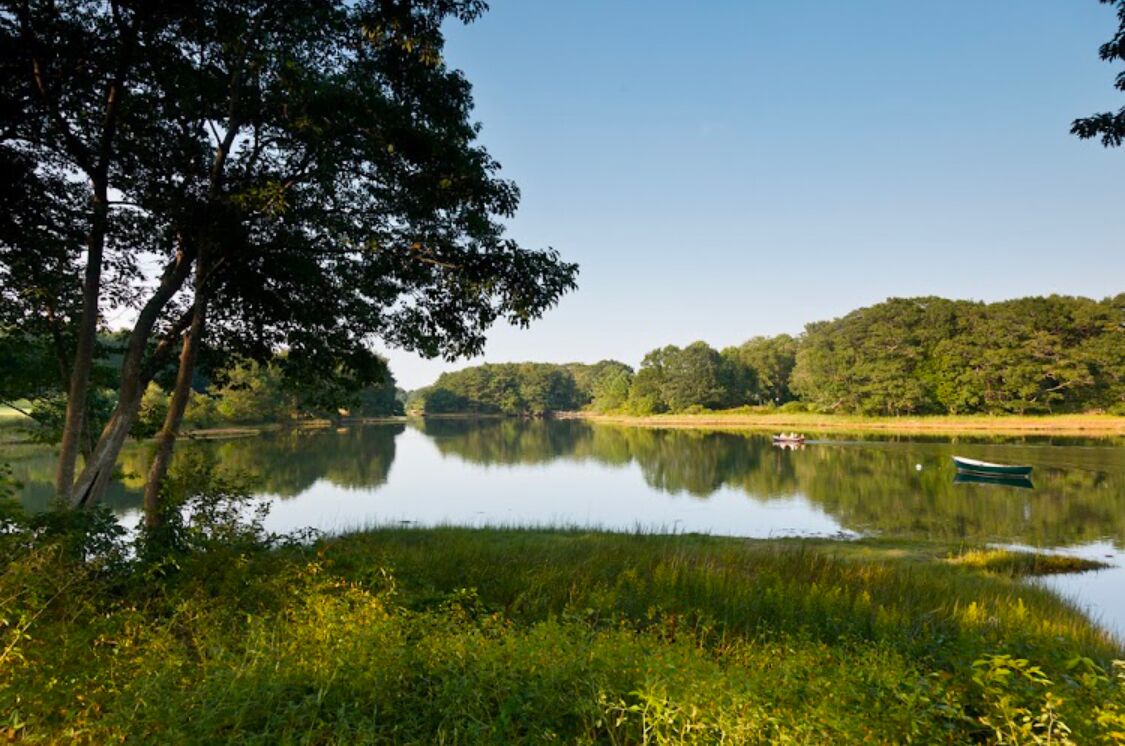 A calm lake with a boat, surrounded by lush greenery and trees.