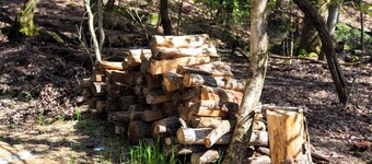 Creekside Tiny house in fantastic Monteagle! Quick hike to waterfall! 
