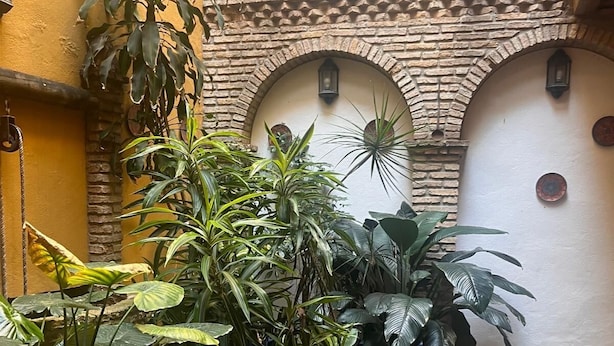 A courtyard with potted plants, tiled flooring, and a brick wall with arches. - Hostal Lojo (Conil de la Frontera)