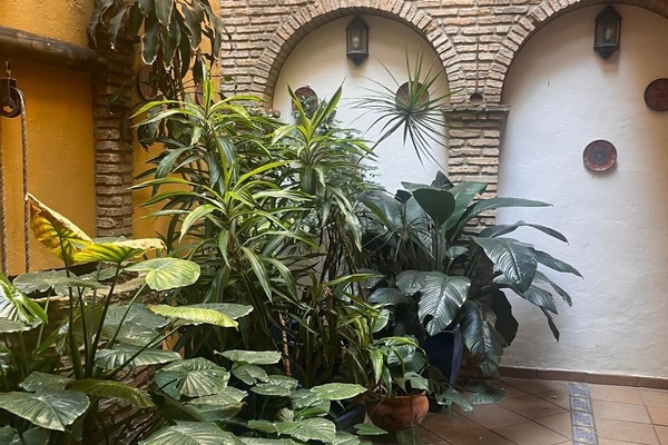 Terrazza/patio