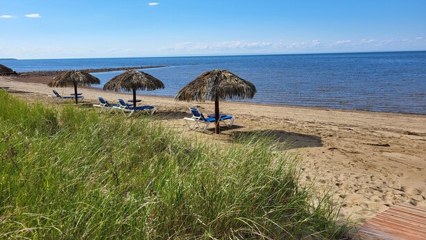 Una playa con sombrillas de paja y sillones azules.