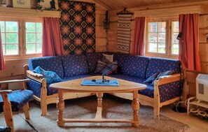 Smart TV, fireplace - Lovely home in Ustaoset with WiFi (Ustaoset)