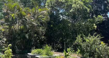 Cloud Cottage Eungella - Family friendly in beautiful rainforest mountain town!