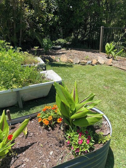 Cloud Cottage Eungella - Family friendly in beautiful rainforest mountain town!