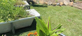 Cloud Cottage Eungella - Family friendly in beautiful rainforest mountain town!