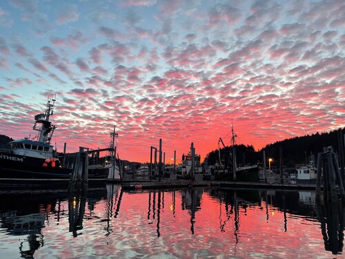 BEARS, BIRDS, AND WHALES/ A Room with a Car