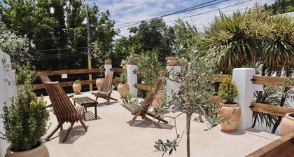 Colonial upscale maison close to vineyards