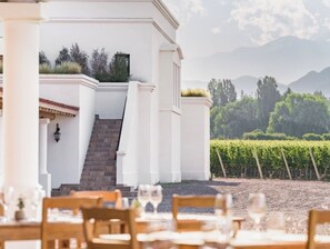 Outdoor dining - Colonial upscale maison close to vineyards (Luján de Cuyo)