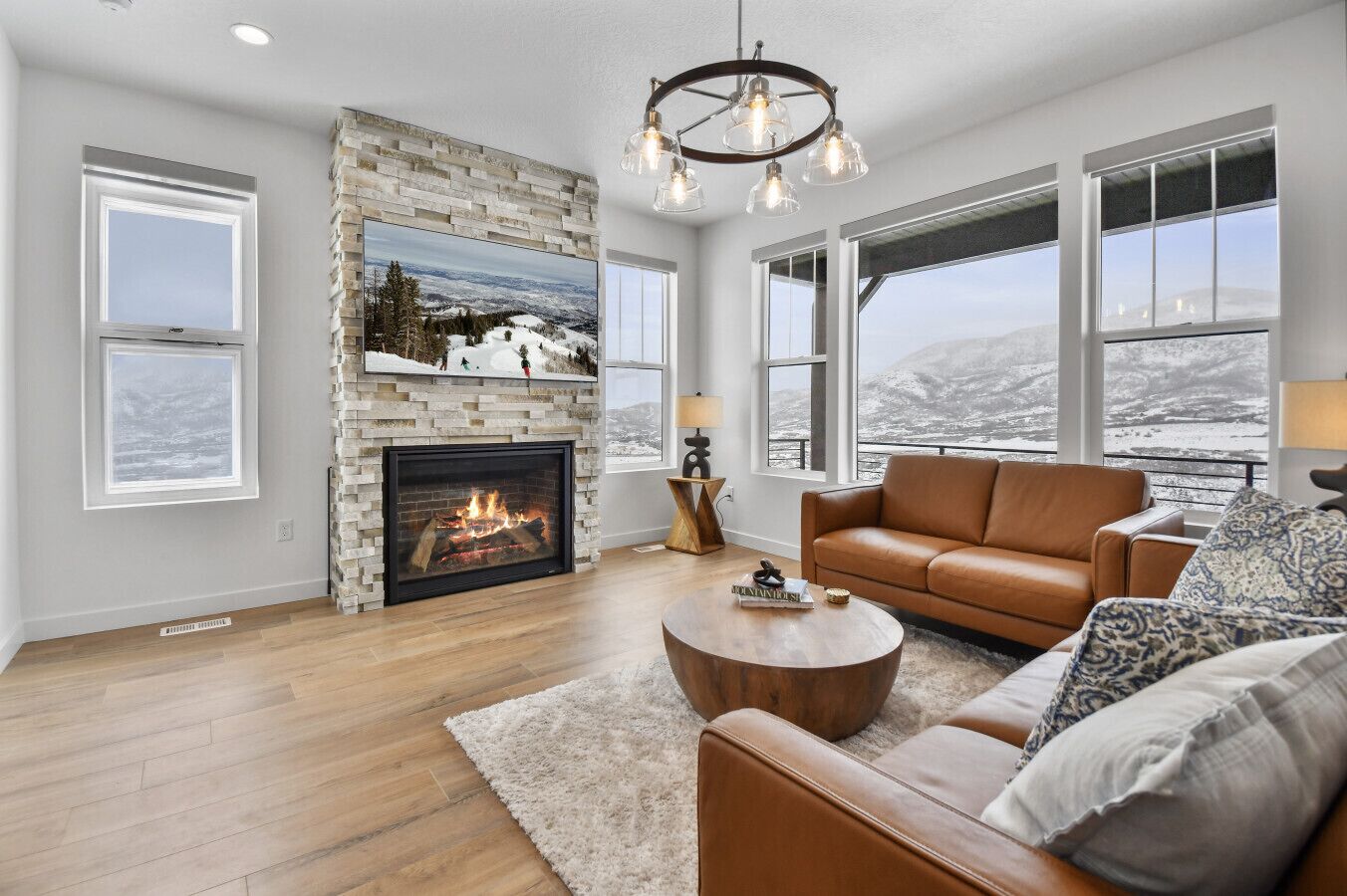 Smart TV, fireplace, books, stereo