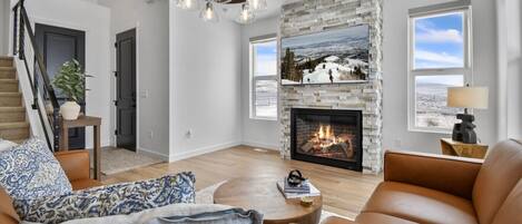 Smart TV, fireplace, books, stereo