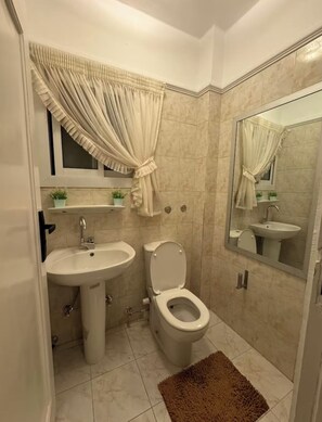 ヘアドライヤー、タオル、石鹸、トイレットペーパー