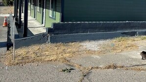 A single-story building with a covered porch and a small window. - Black Hawk Lodge (Coarsegold)