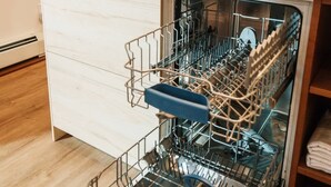Cozinha moderna com máquina de lavar louça, pia e uma pequena planta no balcão.