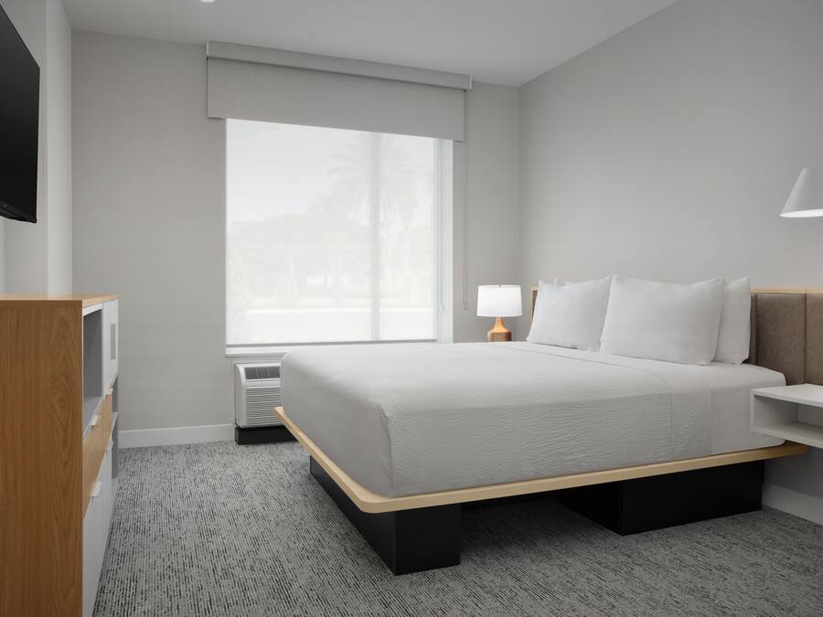 A modern hotel room with a large bed, a TV, a bedside table with a lamp, and a window with a view of palm trees.